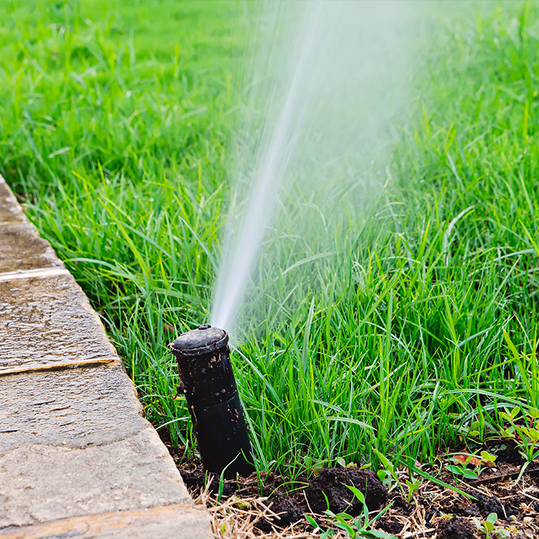 irrigation Montréal