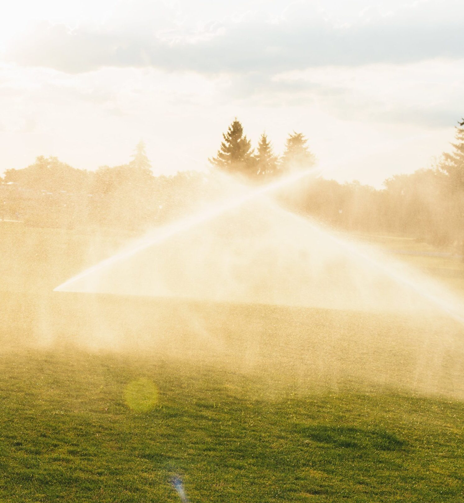 Irrigation system installation in Mont-Royal